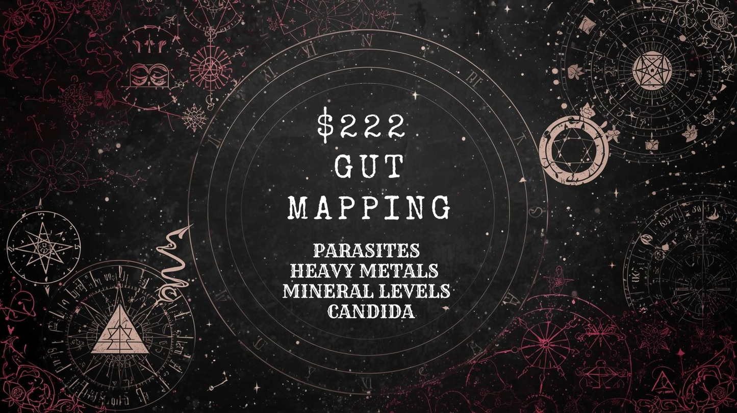 GUT MAPPING SCAN | PARASITES • HEAVY METALS • MINERALS • CANDIDA
